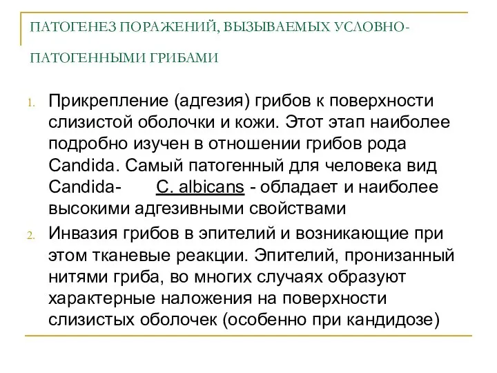 ПАТОГЕНЕЗ ПОРАЖЕНИЙ, ВЫЗЫВАЕМЫХ УСЛОВНО-ПАТОГЕННЫМИ ГРИБАМИ Прикрепление (адгезия) грибов к поверхности слизистой