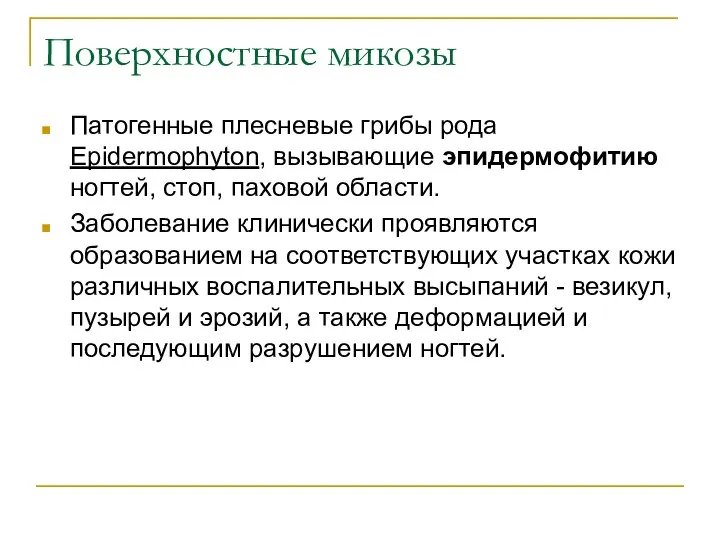 Поверхностные микозы Патогенные плесневые грибы рода Epidermophyton, вызывающие эпидермофитию ногтей, стоп,