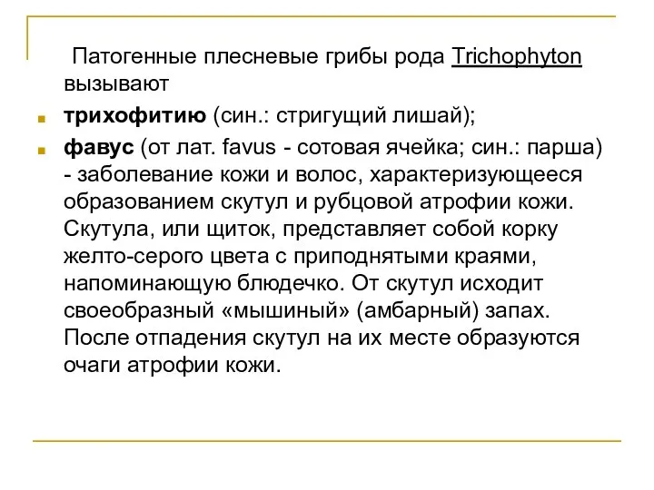 Патогенные плесневые грибы рода Trichophyton вызывают трихофитию (син.: стригущий лишай); фавус