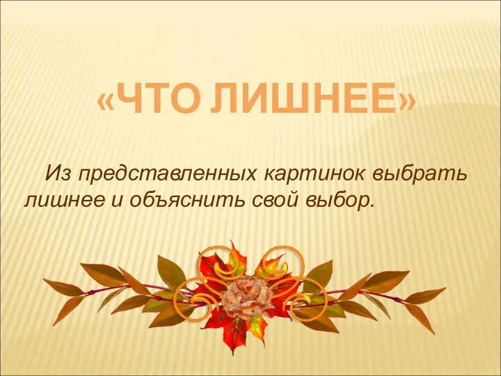 «ЧТО ЛИШНЕЕ» Из представленных картинок выбрать лишнее и объяснить свой выбор.