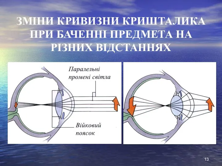 ЗМІНИ КРИВИЗНИ КРИШТАЛИКА ПРИ БАЧЕННІ ПРЕДМЕТА НА РІЗНИХ ВІДСТАННЯХ