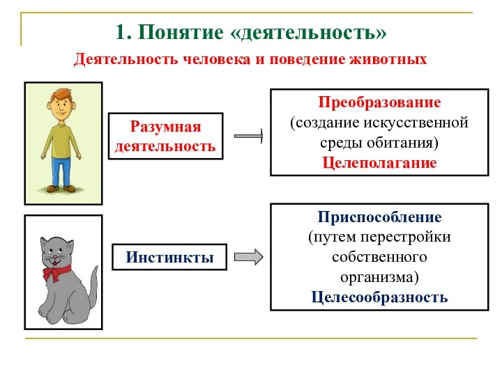 1. Понятие «деятельность» Деятельность человека и поведение животных Разумная деятельность Преобразование