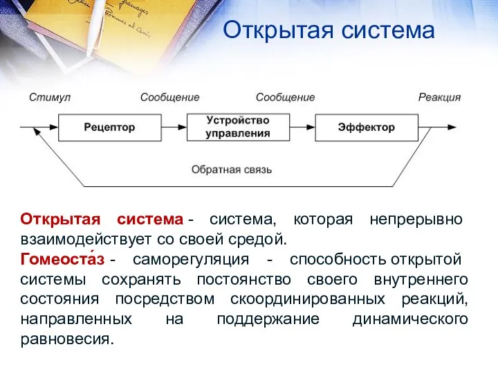 Открытая система Открытая система - система, которая непрерывно взаимодействует со своей