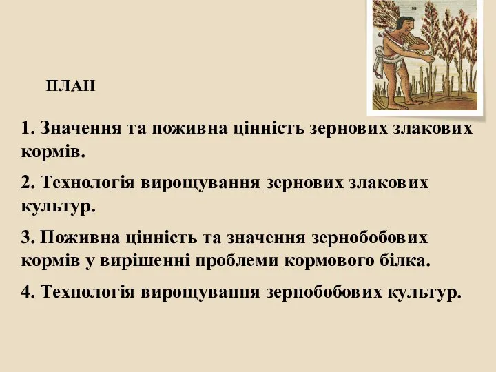 ПЛАН 1. Значення та поживна цінність зернових злакових кормів. 2. Технологія