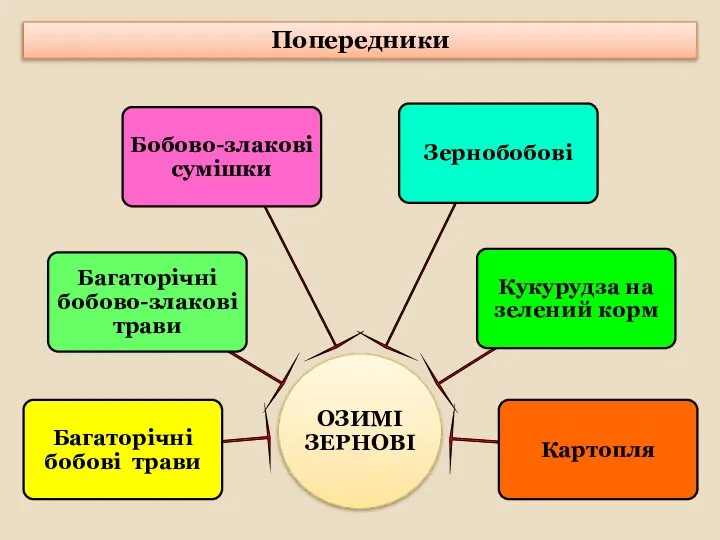 Попередники