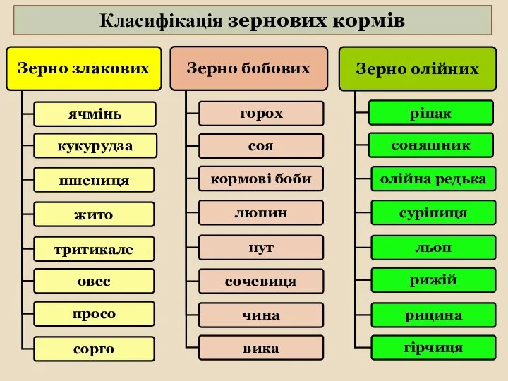 Класифікація зернових кормів