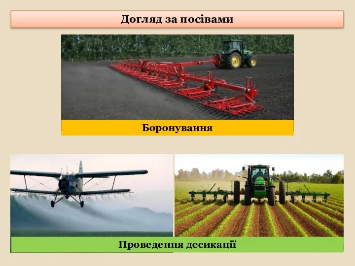 Догляд за посівами Проведення десикації Боронування