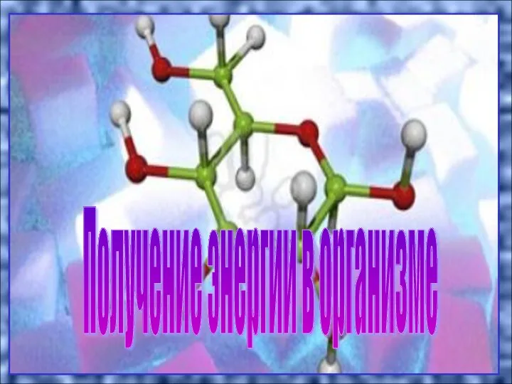 Получение энергии в организме