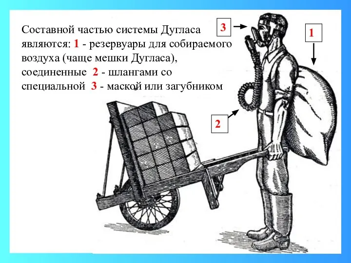 Составной частью системы Дугласа являются: 1 - резервуары для собираемого воздуха