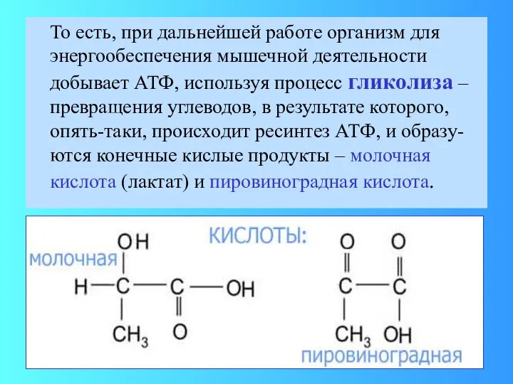 То есть, при дальнейшей работе организм для энергообеспечения мышечной деятельности добывает