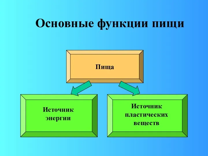 Пища Источник энергии Источник пластических веществ Основные функции пищи