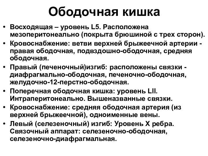 Ободочная кишка Восходящая – уровень L5. Расположена мезоперитонеально (покрыта брюшиной с