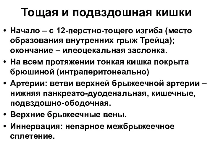 Тощая и подвздошная кишки Начало – с 12-перстно-тощего изгиба (место образования