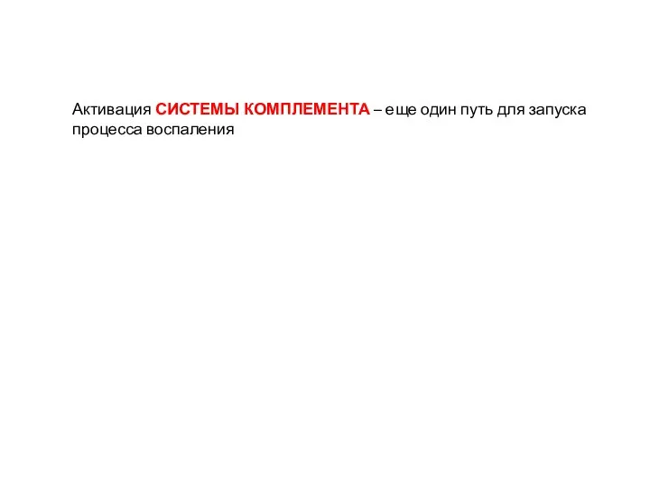 Активация СИСТЕМЫ КОМПЛЕМЕНТА – еще один путь для запуска процесса воспаления