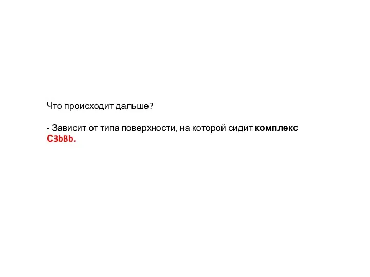 Что происходит дальше? - Зависит от типа поверхности, на которой сидит комплекс С3bBb.