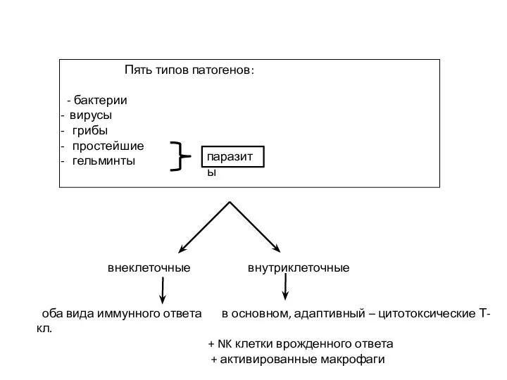 Пять типов патогенов: - бактерии вирусы грибы простейшие гельминты паразиты внеклеточные