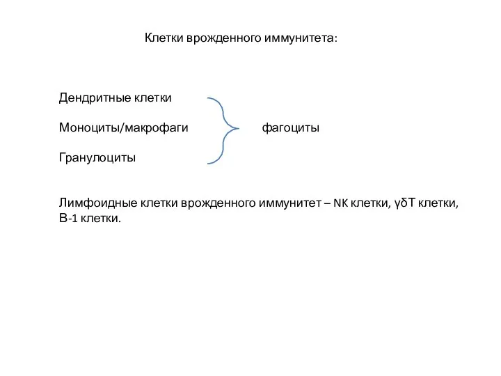 Клетки врожденного иммунитета: Дендритные клетки Моноциты/макрофаги фагоциты Гранулоциты Лимфоидные клетки врожденного