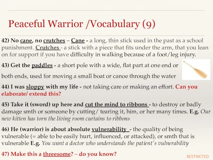 Peaceful Warrior /Vocabulary (9) 42) No cane, no crutches – Cane