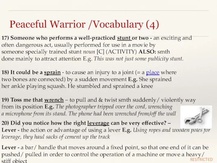 Peaceful Warrior /Vocabulary (4) 17) Someone who performs a well-practiced stunt