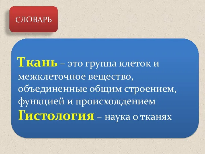 СЛОВАРЬ Ткань – это группа клеток и межклеточное вещество, объединенные общим