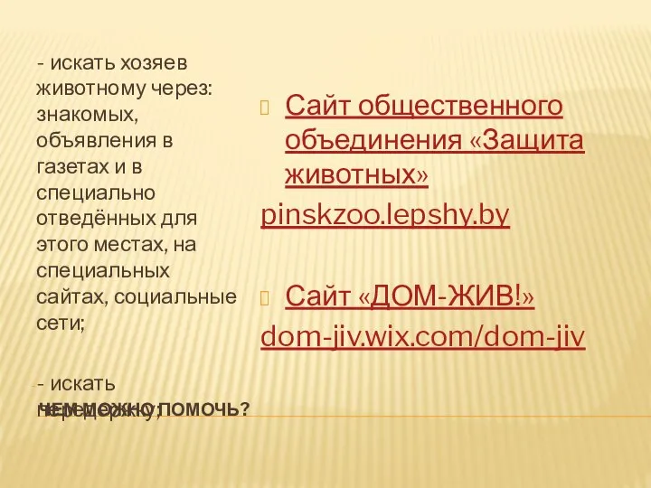 ЧЕМ МОЖНО ПОМОЧЬ? - искать хозяев животному через: знакомых, объявления в