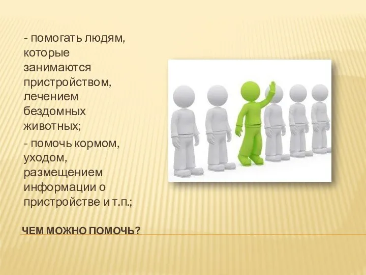 ЧЕМ МОЖНО ПОМОЧЬ? - помогать людям, которые занимаются пристройством, лечением бездомных