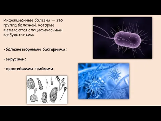 Инфекционные болезни — это группа болезней, которые вызываются специфическими возбудителями: -болезнетворными бактериями; -вирусами; -простейшими грибками.