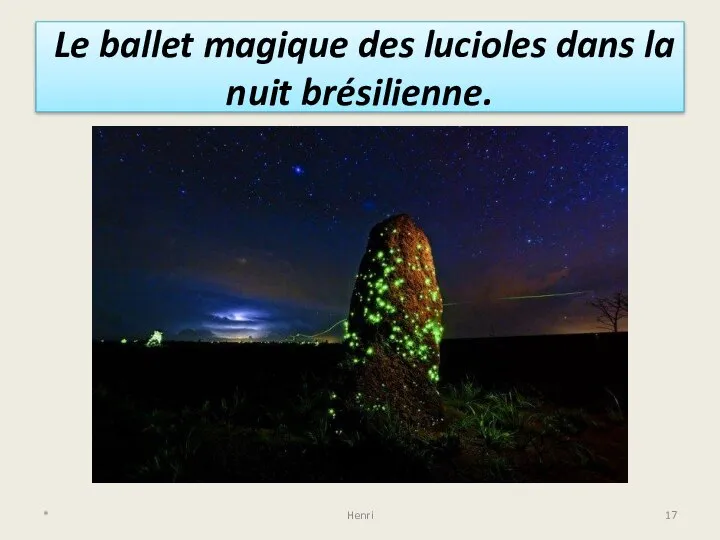 Le ballet magique des lucioles dans la nuit brésilienne. * Henri