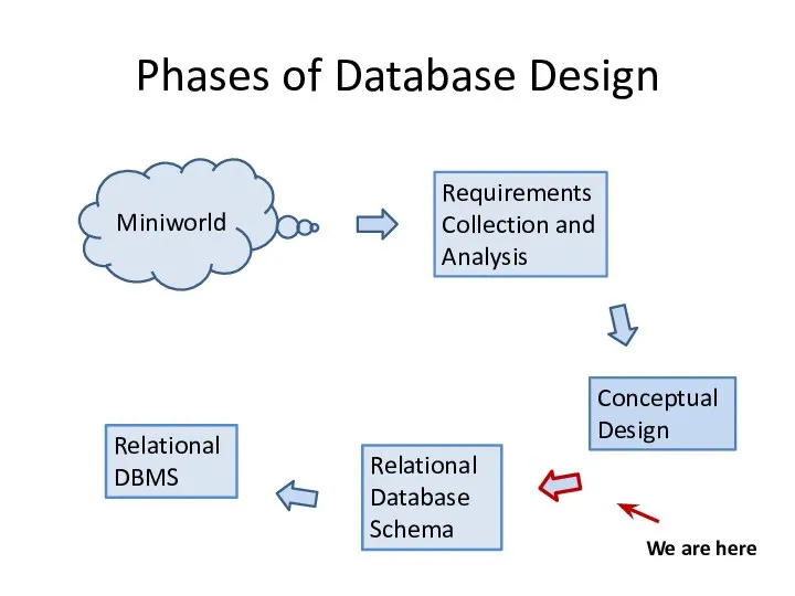 Phases of Database Design Miniworld Requirements Collection and Analysis Conceptual Design