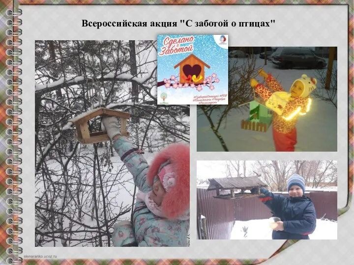 Всероссийская акция "С заботой о птицах"