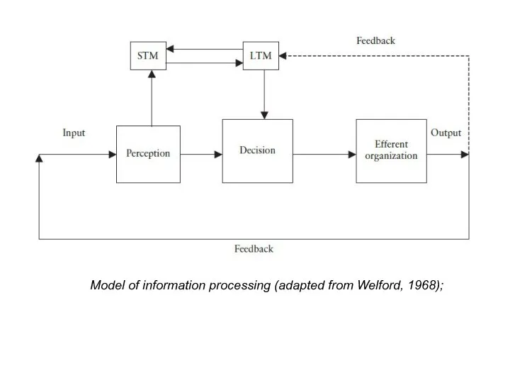 Model of information processing (adapted from Welford, 1968);