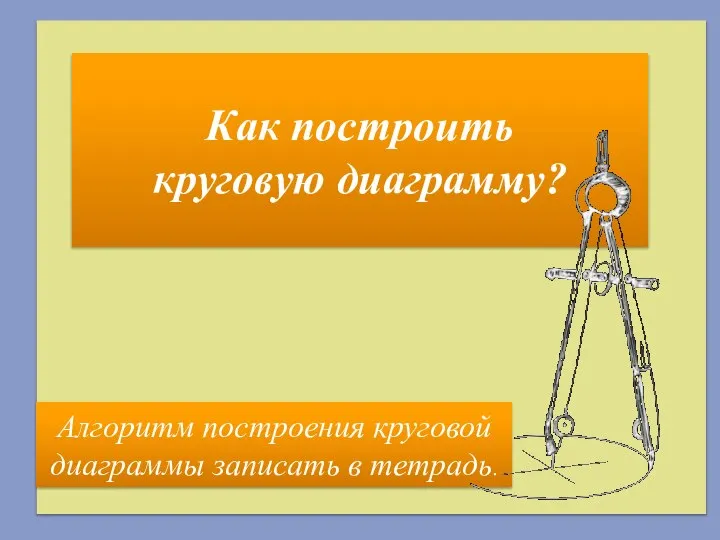 Как построить круговую диаграмму? Алгоритм построения круговой диаграммы записать в тетрадь.