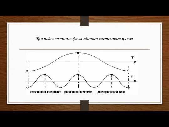 Три подсистемные фазы единого системного цикла