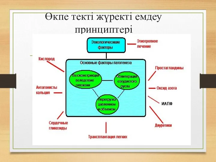 Өкпе текті жүректі емдеу принциптері