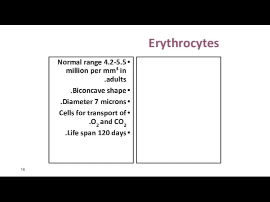 Erythrocytes Normal range 4.2-5.5 million per mm3 in adults. Biconcave shape.