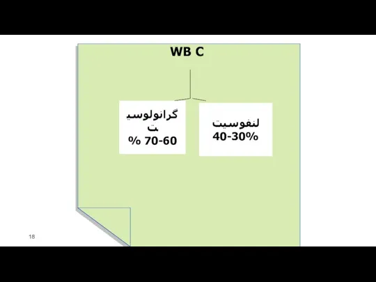 WB C گرانولوسیت 70-60 % لنفوسیت 40-30%