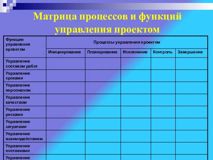 Матрица процессов и функций управления проектом