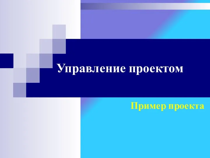 Управление проектом Пример проекта