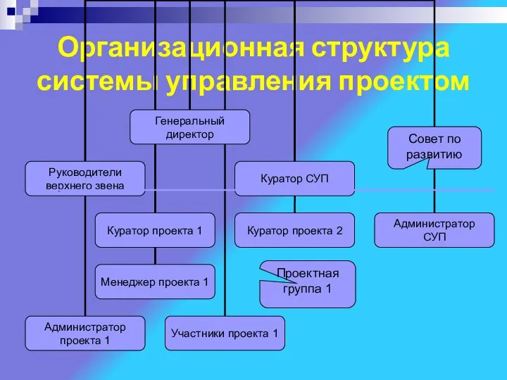 Организационная структура системы управления проектом