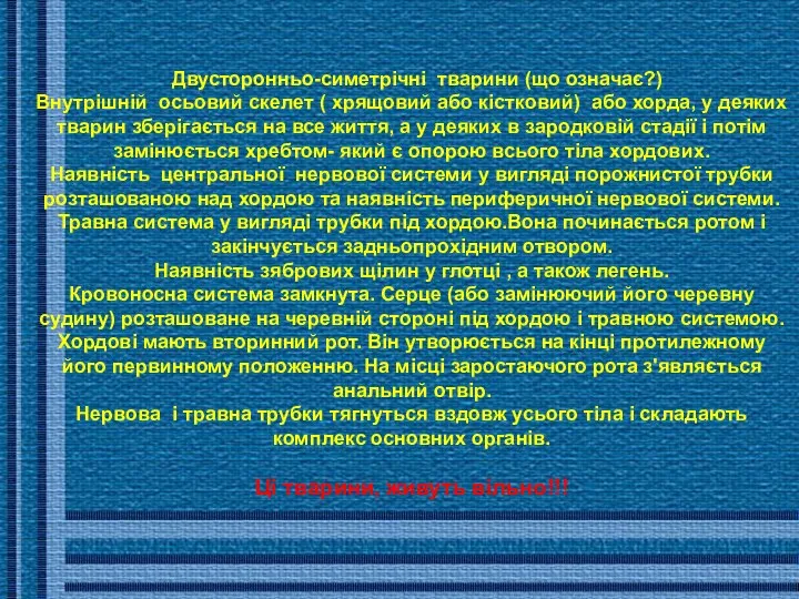 Двусторонньо-симетрічні тварини (що означає?) Внутрішній осьовий скелет ( хрящовий або кістковий)