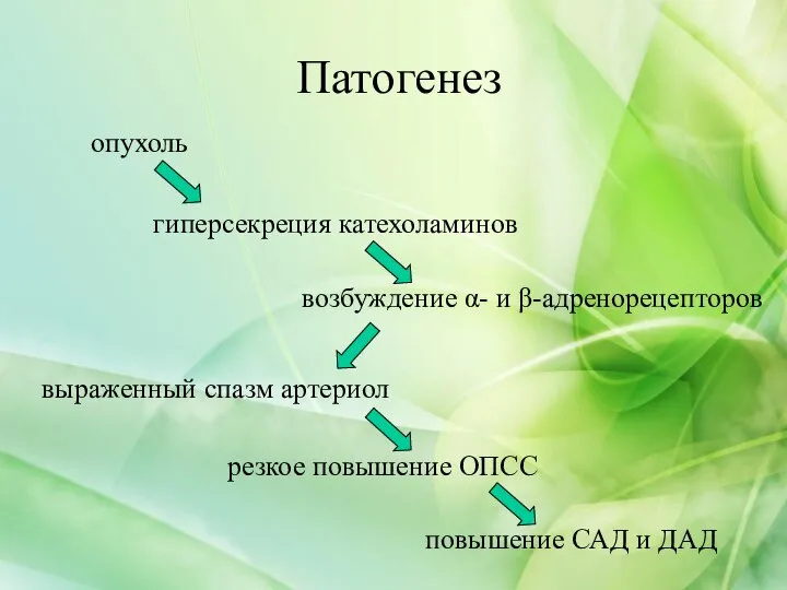 Патогенез повышение САД и ДАД опухоль гиперсекреция катехоламинов возбуждение α- и