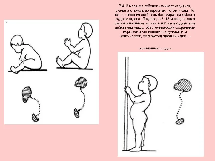 В 4–6 месяцев ребенок начинает садиться, сначала с помощью взрослых, потом