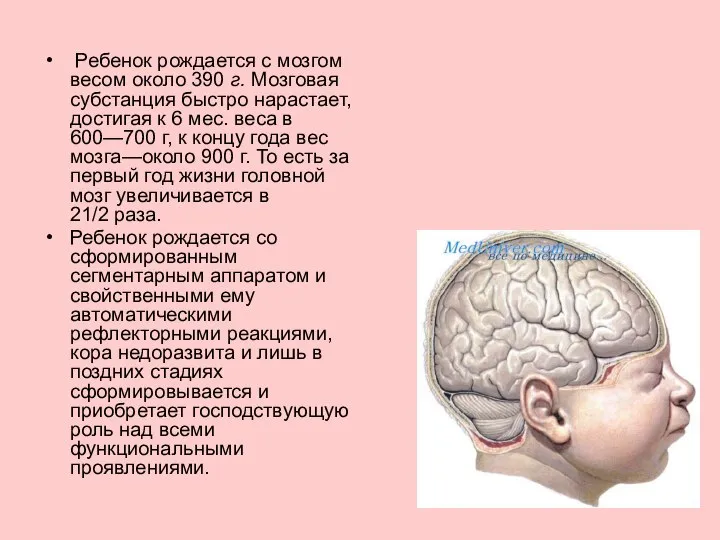 Ребенок рождается с мозгом весом около 390 г. Мозговая субстанция быстро