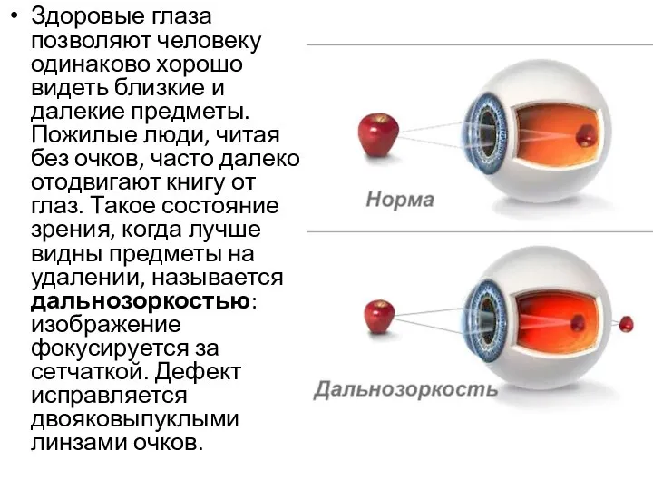 Здоровые глаза позволяют человеку одинаково хорошо видеть близкие и далекие предметы.