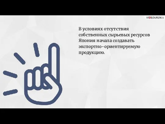 В условиях отсутствия собственных сырьевых ресурсов Япония начала создавать экспортно-ориентируемую продукцию.