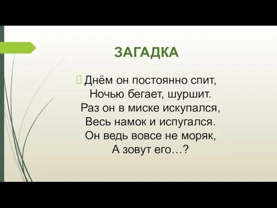 ЗАГАДКА Днём он постоянно спит, Ночью бегает, шуршит. Раз он в