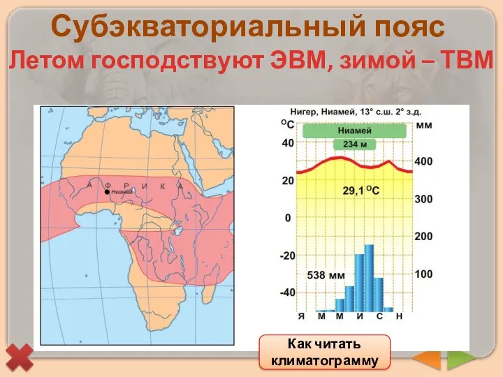 Субэкваториальный пояс Летом господствуют ЭВМ, зимой – ТВМ Как читать климатограмму