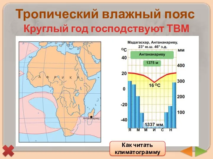 Тропический влажный пояс Круглый год господствуют ТВМ Как читать климатограмму