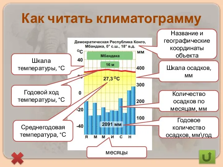 Как читать климатограмму Название и географические координаты объекта Шкала осадков, мм