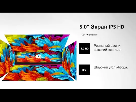 5.0” Экран IPS HD (4.5’’ FW of P5mini) 5.0 HD IPS